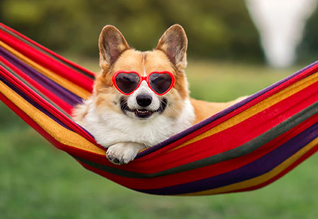 enjoy springtime outdoor adventures