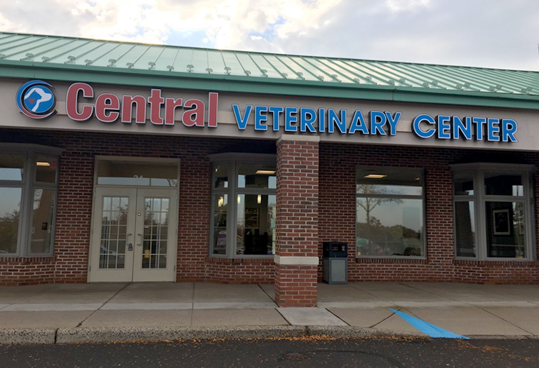 chalfont, bucks county veterinary